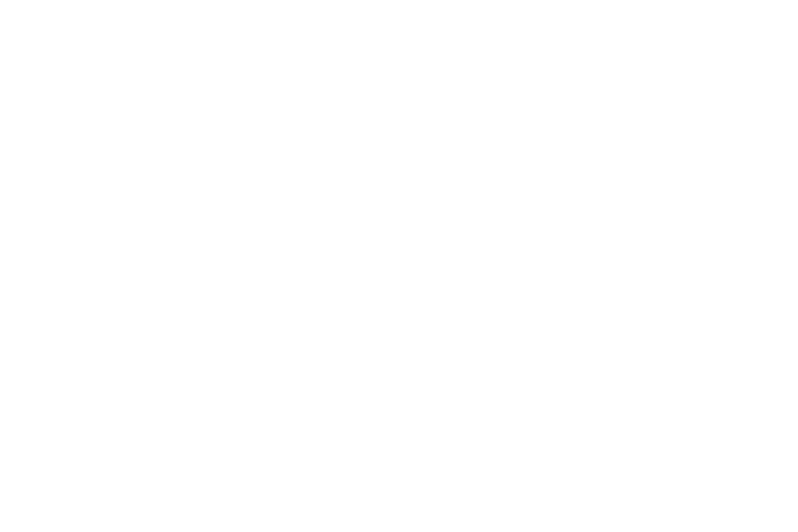 Neo 2 Neo 2